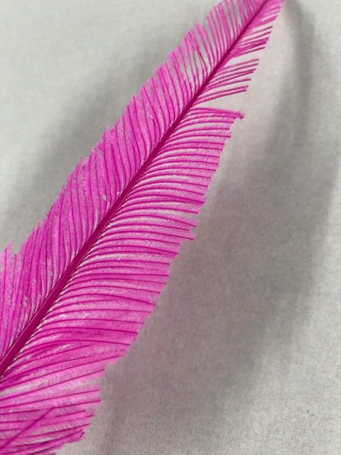 Long Ostrich Arrow - Image 3