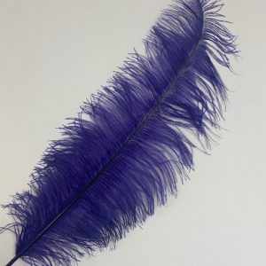Ostrich Plume