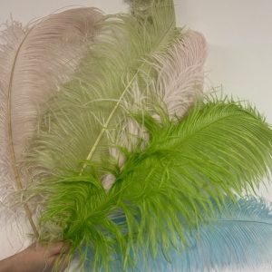 Ostrich Plume Bundle (5)