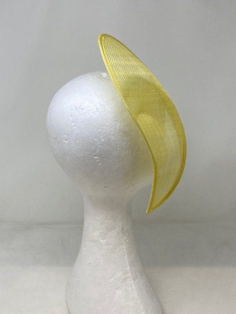 Shrimp - Image 6