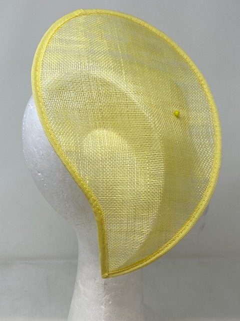 Shrimp - Image 7