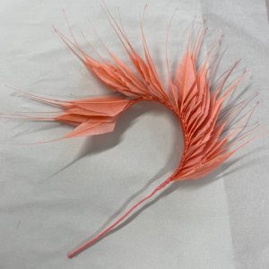 BF19 Arrow Feather Spray