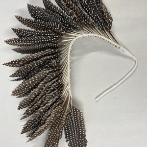 BF28 Natural Arrow Feather Spray