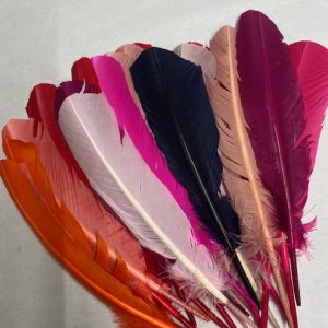 Rounded Goose Quill Bundle