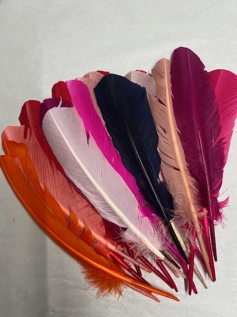 Rounded Goose Quill Bundle