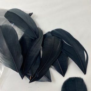 Individual Black Feathers