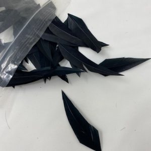 Pointed Individual Black Feathers