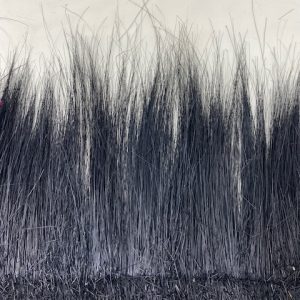 Burnt Peacock Fringe 1/2mt