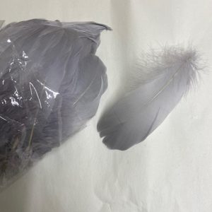 Grey Soft Individual Feathers
