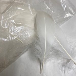 Ivory Soft Individual Feathers