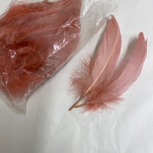 Salmon Pink Soft Individual Feathers