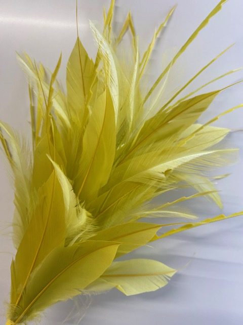 BF48 Coque, Hackle and Cut Goose Feather Mount - Image 2