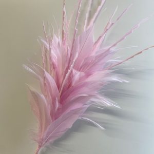 BF48 Coque, Hackle and Cut Goose Feather Mount