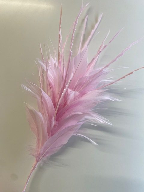 BF48 Coque, Hackle and Cut Goose Feather Mount