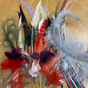 Damaged and End of stock feathers