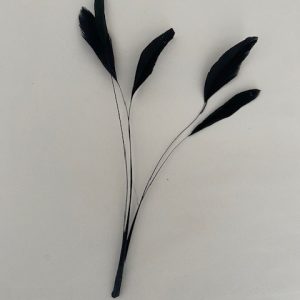 Coque Feather Bunch