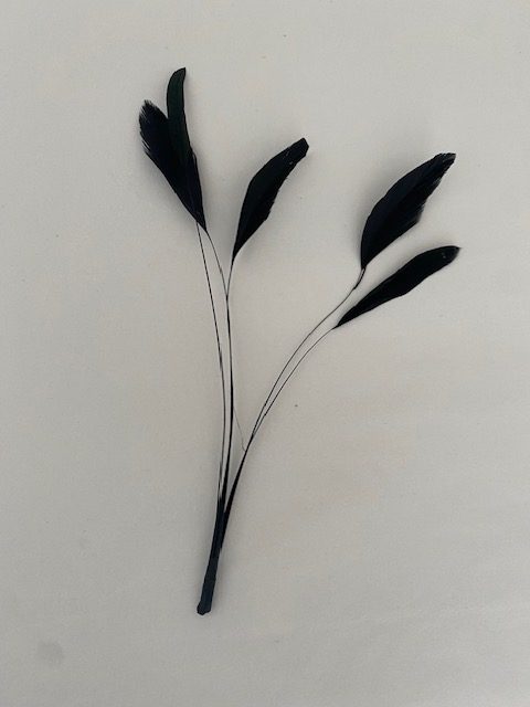 Coque Feather Bunch