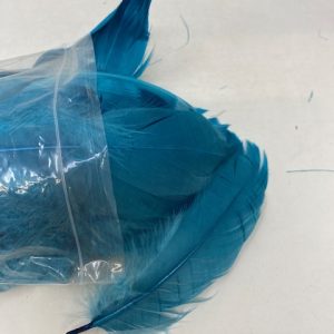 Peacock Soft Individual Feathers