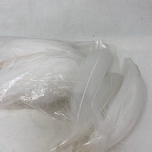 Ivory Soft Individual Feathers